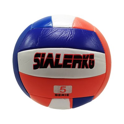 Волейбольный мяч Bambi Sialerkg PVC диаметр 21 см Синий фото 1