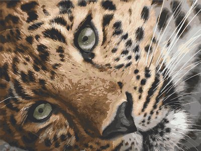 Картина за номерами Art Craft "Леопард" 40х50 см 11635-AC фото 1