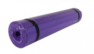 Каремат для йоги фитнеса туризма Profi 173х61см 6мм M 0380-3 материал EVA Фиолетовый фото 1