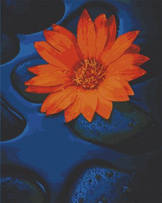 Картина за номерами Art Craft "Квітка лотоса" 40х50 см 13124-AC фото 1