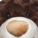 М'яка іграшка Grand Ведмідь з бантом коричневий 33 см фото 4