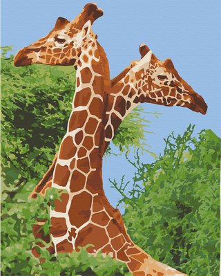 Картина за номерами Art Craft "Пара жирафів" 40х50 см 11613-AC фото 1