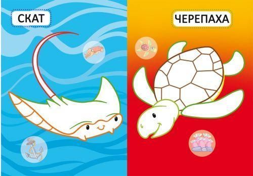 Моя перша розмальовка з кольоровим контуром та наліпками А4 Crystal Book "Морські жителі" (рос) фото 3