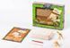 Набор для проведения раскопок Danko Toys Dino Excavation (рус) DEX-01-06 фото 2