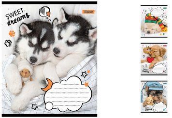 Учнівські зошити в лінійку на 12 аркушів 1Вересня Sweet dreams 25шт. 765796 фото 1