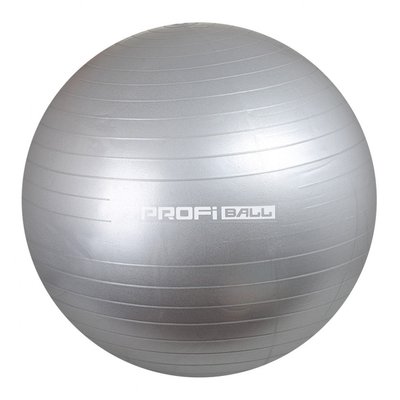 Мяч для фитнеса (фитбол) ProfiBall 65 см Серебристый M 0276 фото 1