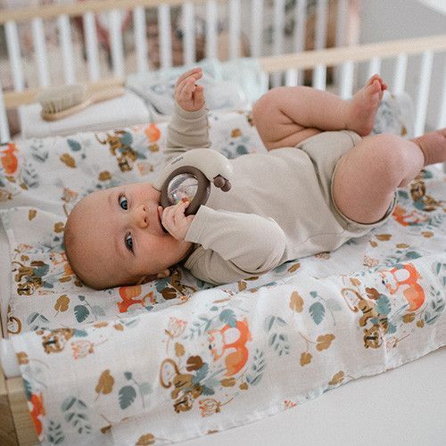 Погремушка 3м+ Babyono Улитка коричневая фото 3