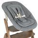 Стульчик для кормления CARRELLO Focus деревянный с шезлонгом Whisper Grey CRL-16801 фото 5