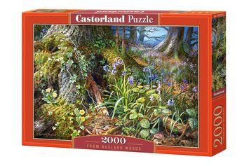 Пазли Castorland "Лісова галявина"&nbsp;2000 елементів 92 х 68 см C-200764 фото 1