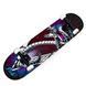 Професійний скейтборд (Скейт) з канадського клена Fish Skateboard "Snake" фото 1