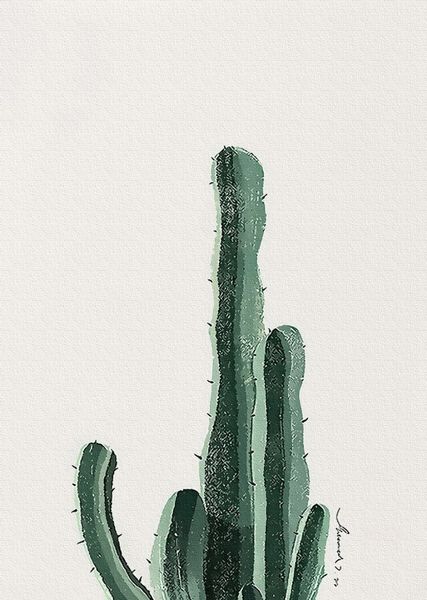 Картина за номерами BrushMe "Кактус Арізона" 40х50см GT61236 фото 1