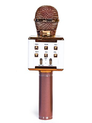 Бездротовий bluetooth караоке мікрофон з колонкою DS-868 Рожево Золотий фото 1