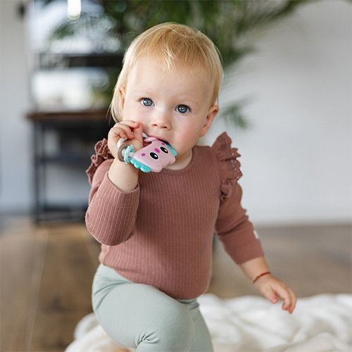 Брязкальце з прорізувачем 0м+ Babyono Совеня рожеве фото 4