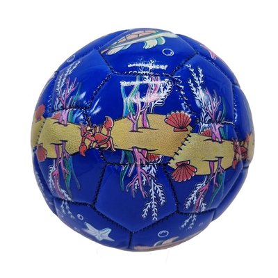 Футбольний м'яч дитячий №2 Bambi PVC діаметр 15 см Синій C 44735 фото 1