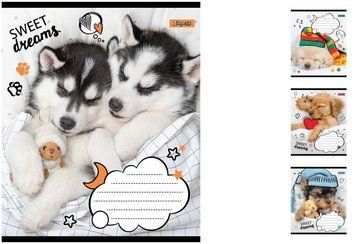 Учнівські зошити в клітинку на 18 аркушів 1Вересня Sweet dreams 25шт. 765815 фото 1