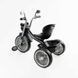 Детский трехколесный велосипед 10" Best Trike колеса EVA стальная рама световые и звуковые эффекты черный укр BS-67800 фото 3