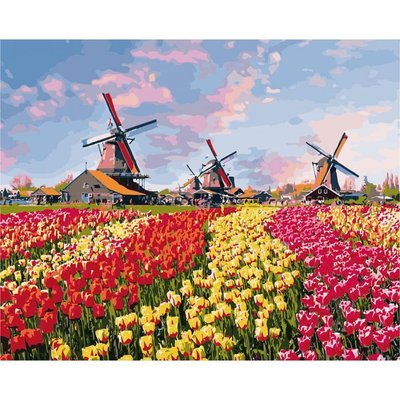Картина за номерами Ідейка "Барвисті тюльпани Голландії" 40х50см фото 1