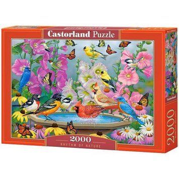 Пазли Castorland "Ритм природи" 2000 елементів 92 х 68 см C-200818 фото 1