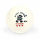 Мячики для настольного тенниса Giant Dragon Training Platinum 40+ 3 звезды 6шт белые фото 1