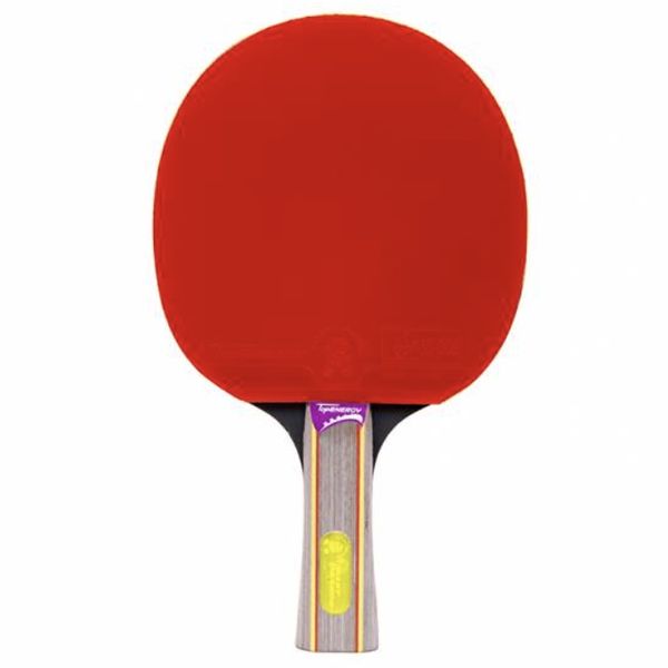 Профессиональная ракетка для настольного тенниса Giant Dragon Topenergy 5* фото 7