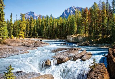 Пазли Castorland "Гірська річка Athabasca river Jasper National Park Canada" 1500 елементів 68 х 47 см С-150762 фото 1