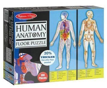Мега - пазл гигант Melissa&Doug "Устройство человека" 100 элементов двусторонний 120 х 40 см MD10445 фото 1