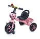 Дитячий триколісний велосипед Scale Sports Рожевий фото 1