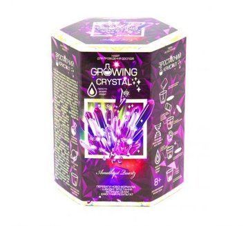 Набір для проведення дослідів Danko Toys Growing Crystal (рос) GRK-01-01 фото 1