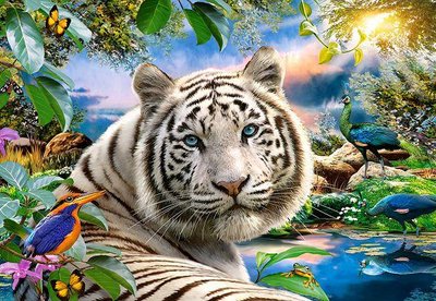 Пазли Castorland "Білий тигр" 1500 елементів 68 х 47 см С-151318 фото 1