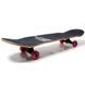 Скейтборд для підлітків Fish Skateboard Girl для перших трюків 79&times;20 см канадський клен ABEC-9 до 90 кг фото 7