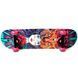 Скейтборд для підлітків Fish Skateboard Girl для перших трюків 79&times;20 см канадський клен ABEC-9 до 90 кг фото 2