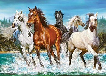 Пазли Castorland "Коні" 200 елементів 40 х 29 см B-222056 фото 1