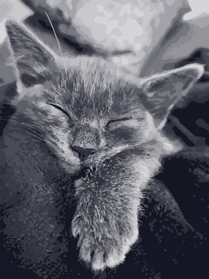 Картина по номерам Art Craft "Кошачья благодарность" 40х50см 11612-AC фото 1