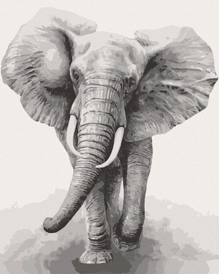 Картина за номерами Art Craft "Африканський слон" 40х50 см 11629-AC фото 1