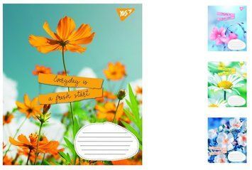 Учебные тетради в линейку на 24 листа 1Вересня Summer flowers 20шт. 765924 фото 1