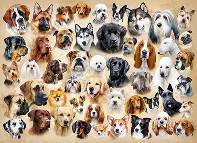 Пазлы Castorland "Коллаж с собаками" 200 элементов 40 х 29 см B-222162 фото 1
