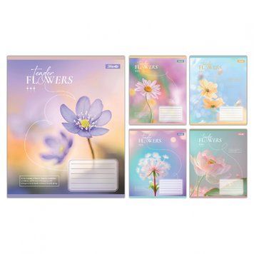Набір учнівських зошитів 1 Вересня Tender Flowers формат А5, 36 арк. в лінійку 15 шт. 768079 фото 1