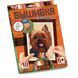 Вышивка крестиком по номерам Danko Toys Собачка VK-01-03 фото 1