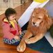 Гігантський плюшевий Лев 180 см Melissa & Doug MD12102 фото 5