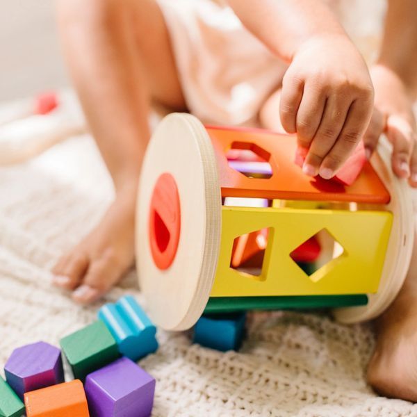 Деревянный сортер-каталка Melissa & Doug (MD19041) фото 6