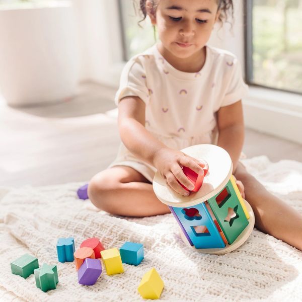 Деревянный сортер-каталка Melissa & Doug (MD19041) фото 2