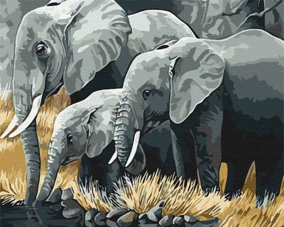 Картина за номерами BrushMe "Сім'я слонів" 40х50см BS3810 фото 1