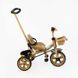 Дитячий триколісний велосипед 10" Best Trike колеса EVA сталева рама світлові та звукові ефекти коричневий укр BS-70619 фото 2