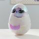 Інтерактивна іграшка в яйці Hatchimals Alive Пташеня Паффі світлові та звукові ефекти, інтерактивне народження фото 3