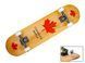 Класичний скейтборд (Скейт) канадський клен Canada Red Marple 100% фото 1